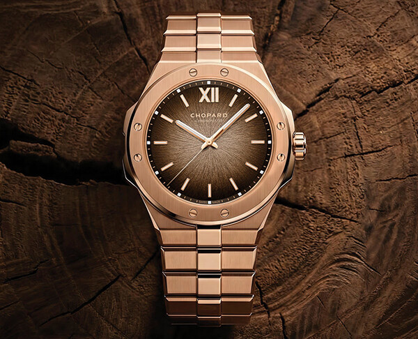 ザ・シチズン 【世界限定300本】 AQ4100-22W THE CITIZEN ハラダ